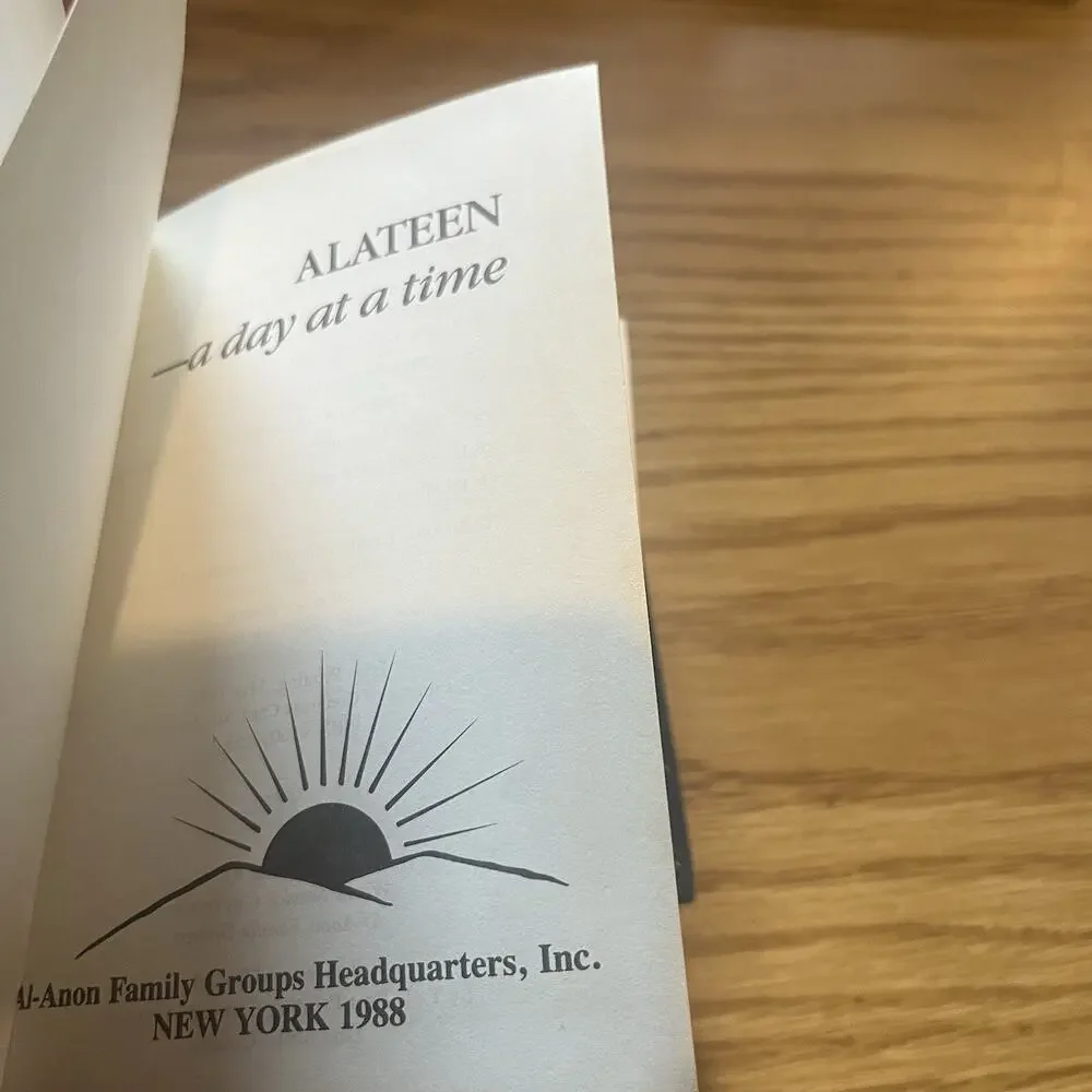 Al-anon Book bundle One Day at a Time in Al-Anon Alateen As We Understood